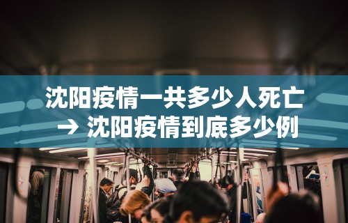 必备教程“随便玩长沙麻将确实真的有挂”附开挂脚本详细教程