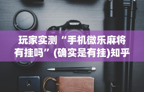 两分钟了解富豪麻将辅助工具	”(透视)其实确实有挂