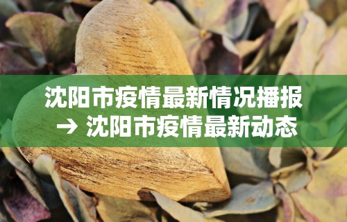 辅助开挂工具“微乐麻将真的有挂吗 百度贴吧”附开挂脚本详细步骤