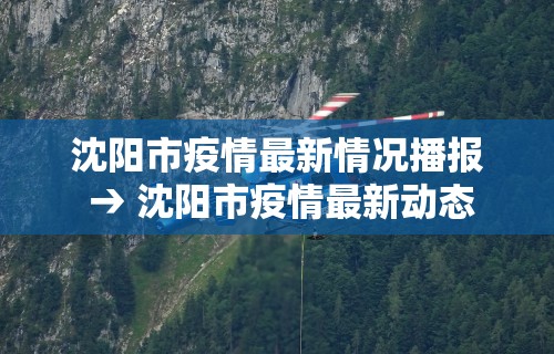 秒懂经验“微乐麻将有外挂吗”科技辅助神器手机版