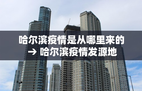 玩家热议“微乐麻将可以打假不	”详细分享装挂