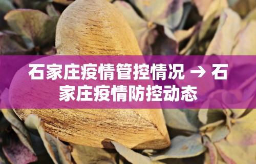 [分析]“微信小程序微乐麻将必赢神器软件	”辅助神器插件下载