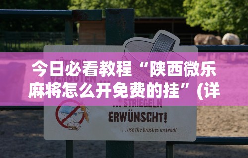 辅助神器“微乐河南麻将!专业师傅带你一起了解(确实有挂)