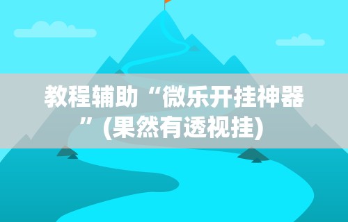 教程辅助“微乐开挂神器”(果然有透视挂) 