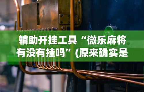 辅助开挂工具“微乐麻将有没有挂吗”(原来确实是有挂) 