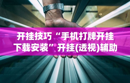 开挂技巧“手机打牌开挂下载安装”开挂(透视)辅助神器