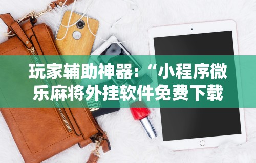 玩家辅助神器:“小程序微乐麻将外挂软件免费下载”详细分享装挂步骤教程