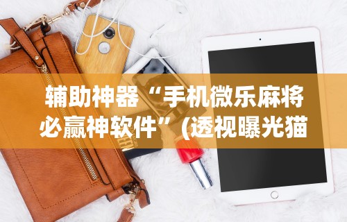 辅助神器“手机微乐麻将必赢神软件”(透视曝光猫腻)