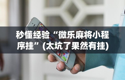 秒懂经验“微乐麻将小程序挂”(太坑了果然有挂)