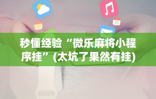 秒懂经验“微乐麻将小程序挂”(太坑了果然有挂)