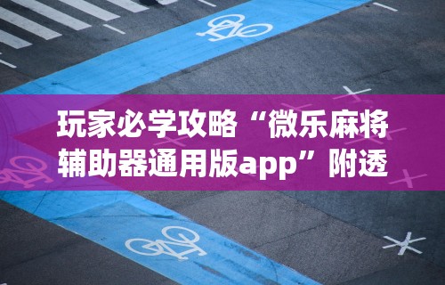 玩家必学攻略“微乐麻将辅助器通用版app”附透视挂详细教程 