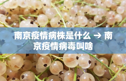 分析必看“微乐亲友房开挂神器怎么用”真实开挂技巧分享