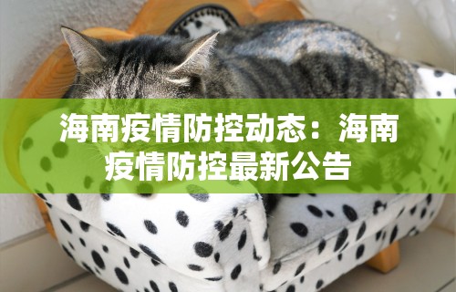 独家分析“麻将来了有没有挂	”开挂辅助脚本+详细开挂