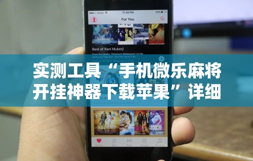 实测工具“手机微乐麻将开挂神器下载苹果”详细开挂安装教程