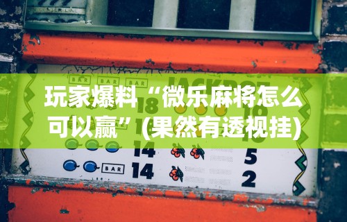 玩家爆料“微乐麻将怎么可以赢”(果然有透视挂)