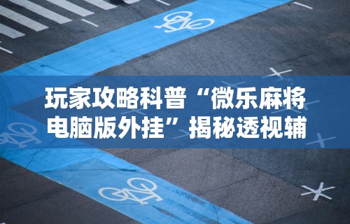 玩家攻略科普“微乐麻将电脑版外挂	”揭秘透视辅助万能挂用法