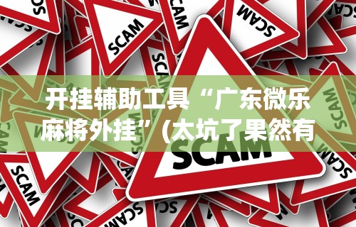 开挂辅助工具“广东微乐麻将外挂”(太坑了果然有挂)