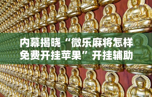 内幕揭晓“微乐麻将怎样免费开挂苹果	”开挂辅助详细步骤