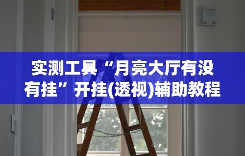 实测工具“月亮大厅有没有挂”开挂(透视)辅助教程