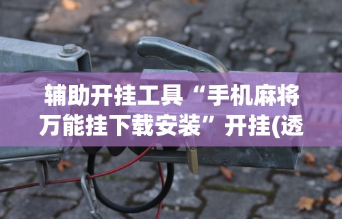 辅助开挂工具“手机麻将万能挂下载安装”开挂(透视)辅助教程
