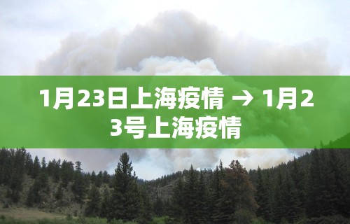 最新总结“中至九江麻将有挂吗”(曝光透视必备猫腻)