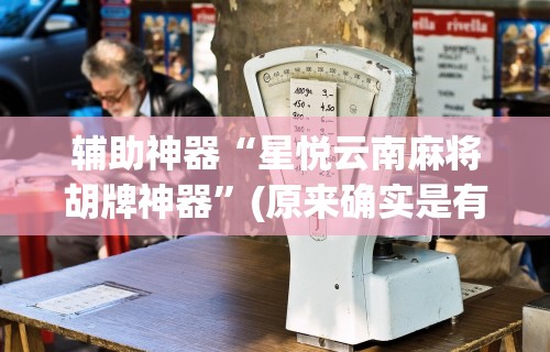 辅助神器“星悦云南麻将胡牌神器”(原来确实是有挂)