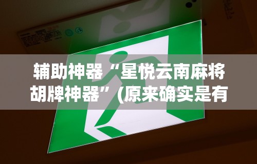 辅助神器“星悦云南麻将胡牌神器”(原来确实是有挂)
