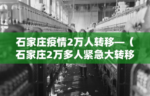 使用分享!APP逗娱碰胡可以开挂吗？”揭秘透视辅助万能挂用法