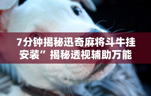 7分钟揭秘迅奇麻将斗牛挂安装”揭秘透视辅助万能挂用法