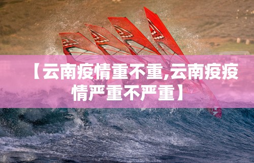 今日教程“月亮大厅牛牛有挂吗”实测确实有挂