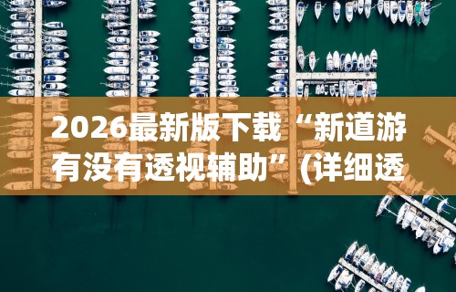 2026最新版下载“新道游有没有透视辅助	”(详细透视教程)-