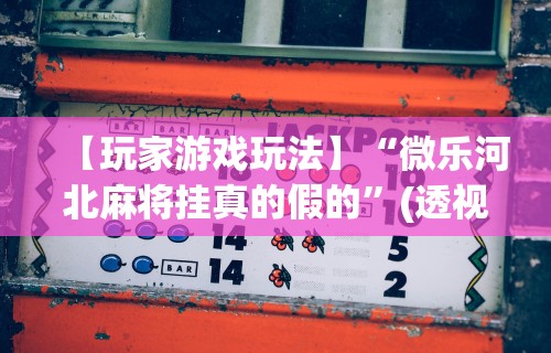 【玩家游戏玩法】“微乐河北麻将挂真的假的	”(透视挂)辅助透视教程