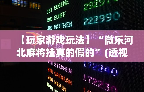 【玩家游戏玩法】“微乐河北麻将挂真的假的”(透视挂)辅助透视教程
