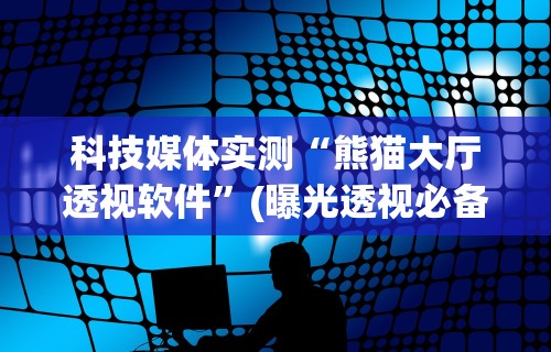 科技媒体实测“熊猫大厅透视软件”(曝光透视必备猫腻)