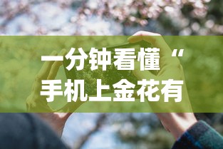 安装程序教程“七彩云南游戏开挂神器”通用版下载教程