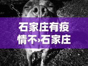 重大来袭“微壳长沙麻将有没有挂”开挂(透视)辅助教程