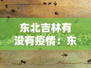 【盘点十款】“微信手机麻将输赢规律	”(透视)其实真的有挂