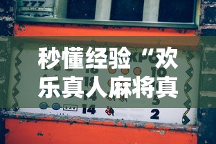 秒懂经验“欢乐真人麻将真能赚钱吗”原来有神器下载