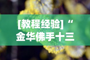 [教程经验]“金华佛手十三道辅助器”真的有挂