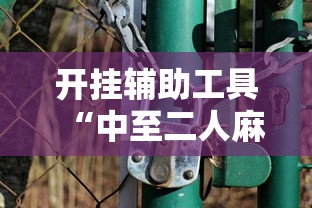 开挂辅助工具“中至二人麻将万能开挂器	”开挂必胜方法