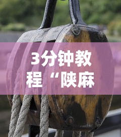 3分钟教程“陕麻圈捉老麻子开挂神器”真的有挂
