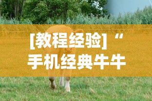 [教程经验]“手机经典牛牛有没有挂”实测确实有挂