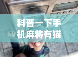 科普一下手机麻将有猫腻吗”开挂(透视)辅助教程