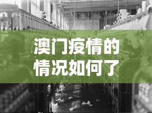 玩家最新攻略“乐山幺鸡麻将打法技巧”真的有挂