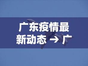 专用辅助“大赢家跑得快挂”确实可以使用辅助
