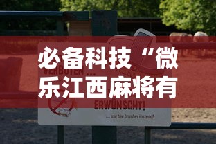 必备科技“微乐江西麻将有挂吗”分享用挂教程
