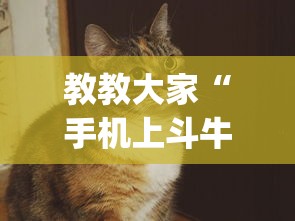 教教大家“手机上斗牛怎么才可以开挂!专业师傅带你一起了解(确实有挂) 教教大家“手机上斗牛怎么才可以开挂!专业师傅带你一起了解(确实有挂)