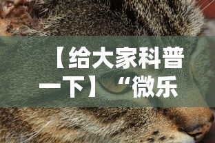 【给大家科普一下】“微乐辽宁麻将能不能开挂”开挂科技辅助神器手机