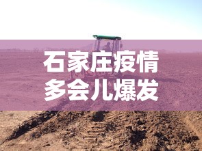 [教程经验]“微乐陕西麻将怎么提高胜率”附开挂脚本详细步骤