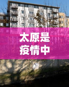 教教大家“微乐家乡麻将里面斗地主有挂吗”(详细透视教程)-